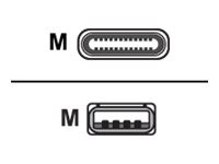 Sharkoon - USB-Kabel - USB-C (M) bis USB (M) - 3 m - weiß