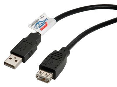 Roline - USB-Verlängerungskabel - USB (M) zu USB (W) - USB 2.0 - 80 cm - Schwarz