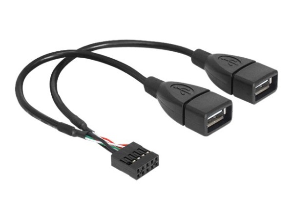 DeLOCK - USB-Kabel intern auf extern - USB (W) bis 9-poliger USB-Header (W) - 20 cm