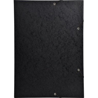 Exacompta Sammelmappe Nature Future 59502E DIN A3 600g Karton schwarz