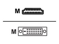 Sharkoon Video-Kabel 19-poliger HDMI Typ A DVI (24-pin) 4044951015221 3.00 m Schwarz
