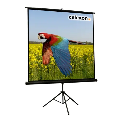 Celexon Economy tripod screen - Projektionsbildschirm mit Stativ - 345 cm (136") - 1:1