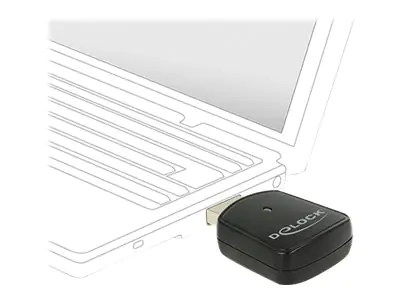 Delock Wireless LAN USB Mini Stick - Netzwerkadapter 12502