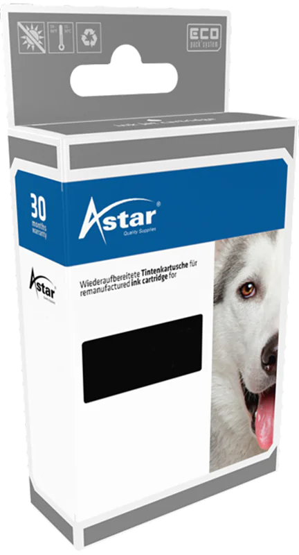 ASTAR Tinte kompatibel zu Epson C33S020601 SJI-C-22-P-(K) Schwarz 33 ml 1 Stück