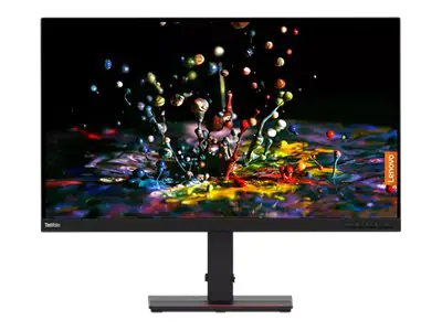 Lenovo ThinkVision P32p-20 - LED-Monitor - 80 cm (32") 62A2GAT2EU