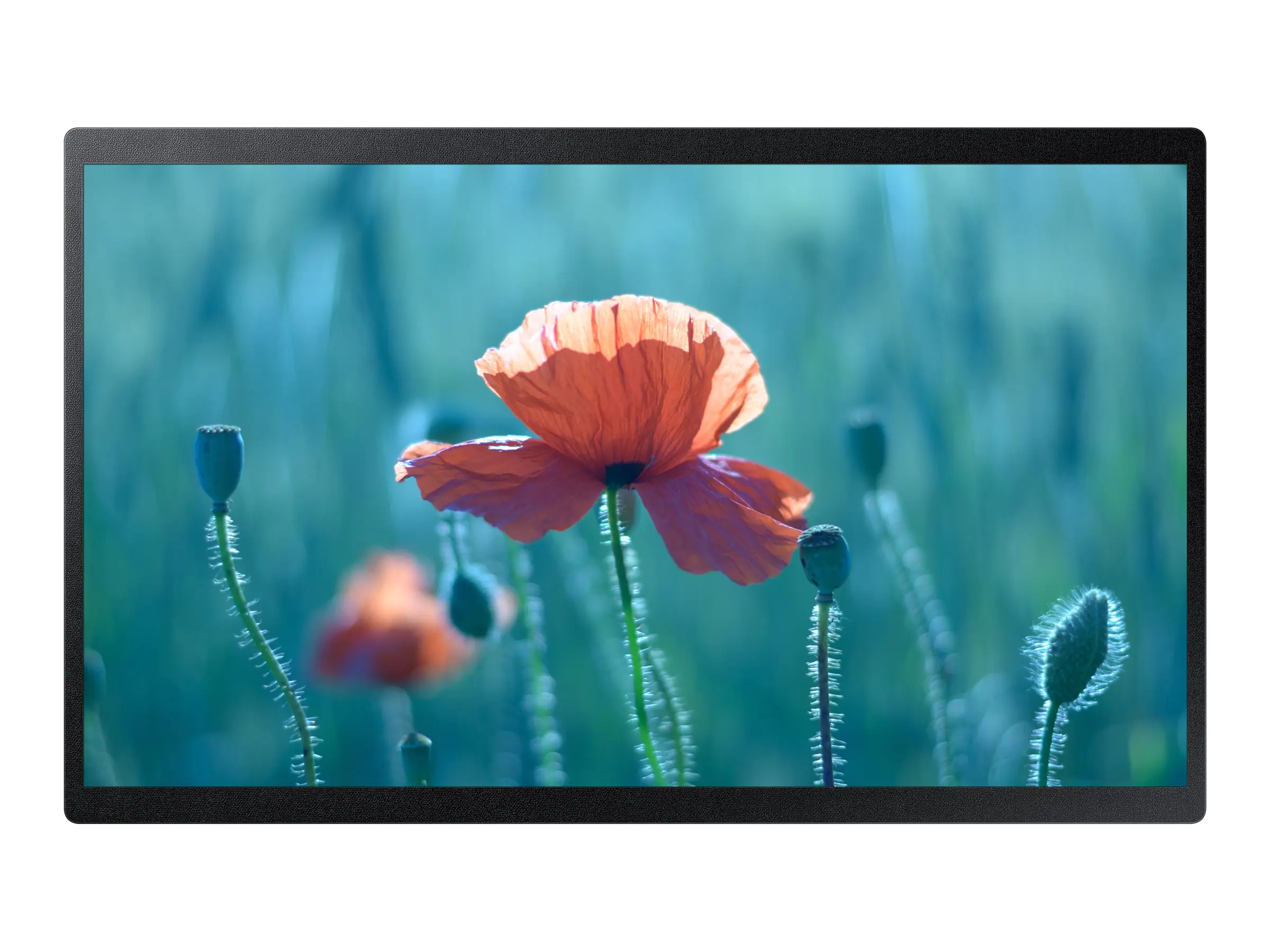 Samsung QB24R-B - 60 cm (24") Diagonalklasse (60.5 cm (23.8") sichtbar) - QBR Series LED display unit - Digital Signage - 1080p 1920 x 1080