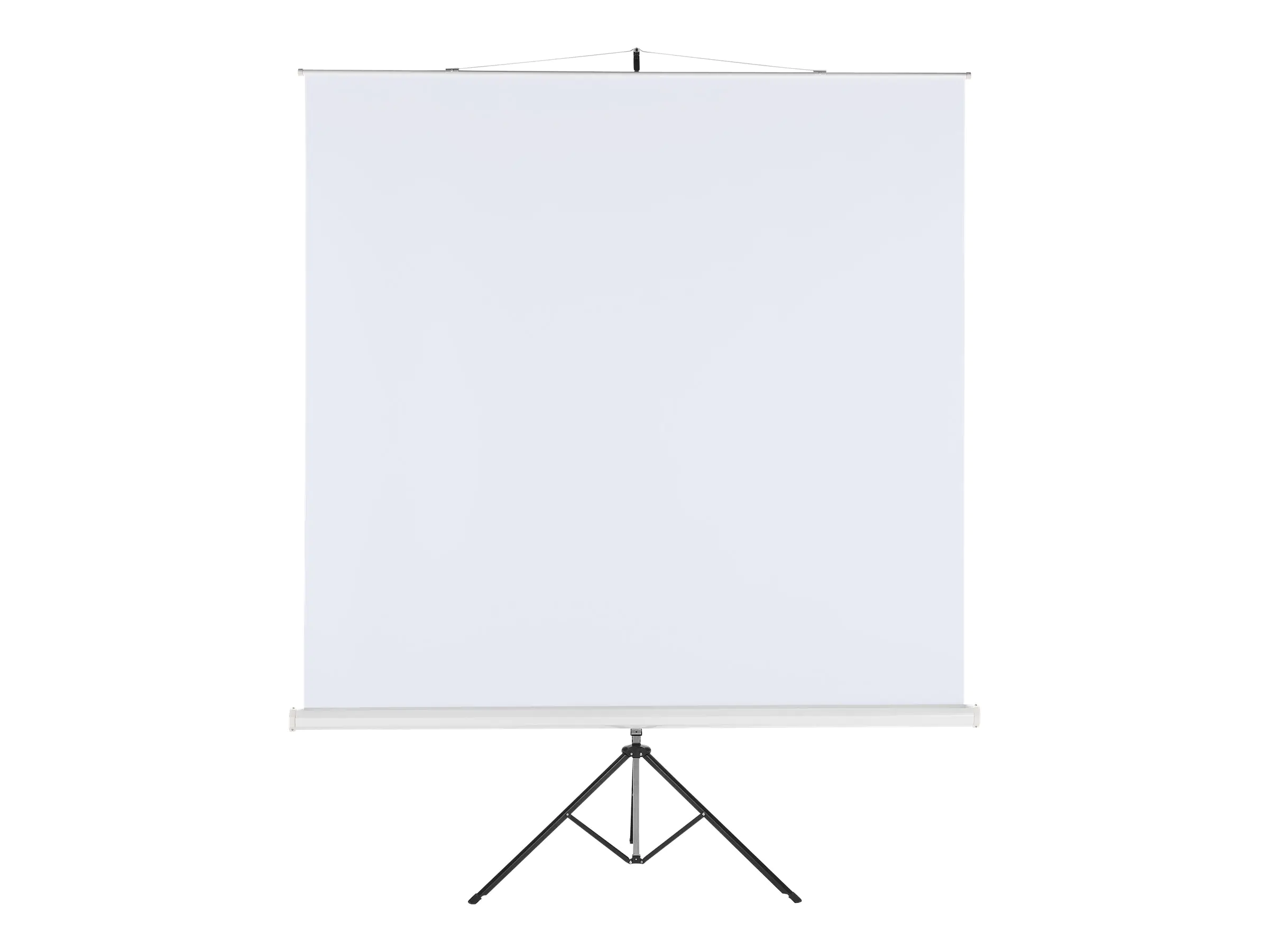 MEDIUM Professional - Projektionsbildschirm mit Stativ - 327 cm (129") - 1:1 - Matte White, Type D - weiß