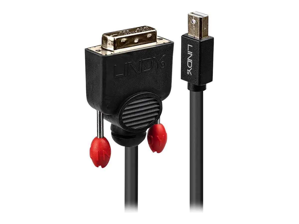 Lindy - DisplayPort-Kabel - Mini DisplayPort (M) bis DVI-D (M) - 2 m - Daumenschrauben - Schwarz