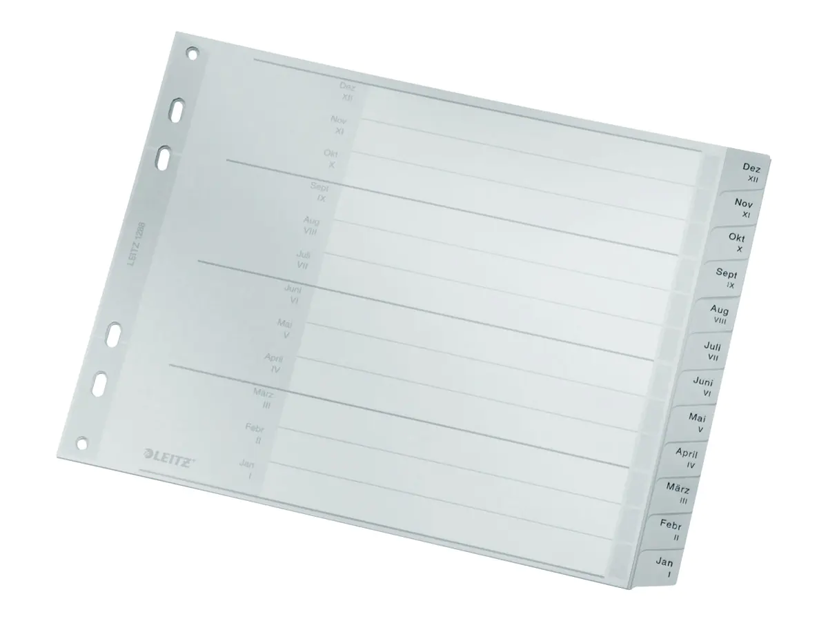 Esselte Leitz Trennelement - 12 Teile - vorgedruckt: Dez-Jan - für A4 Extra (235 × 322 mm) 12880085