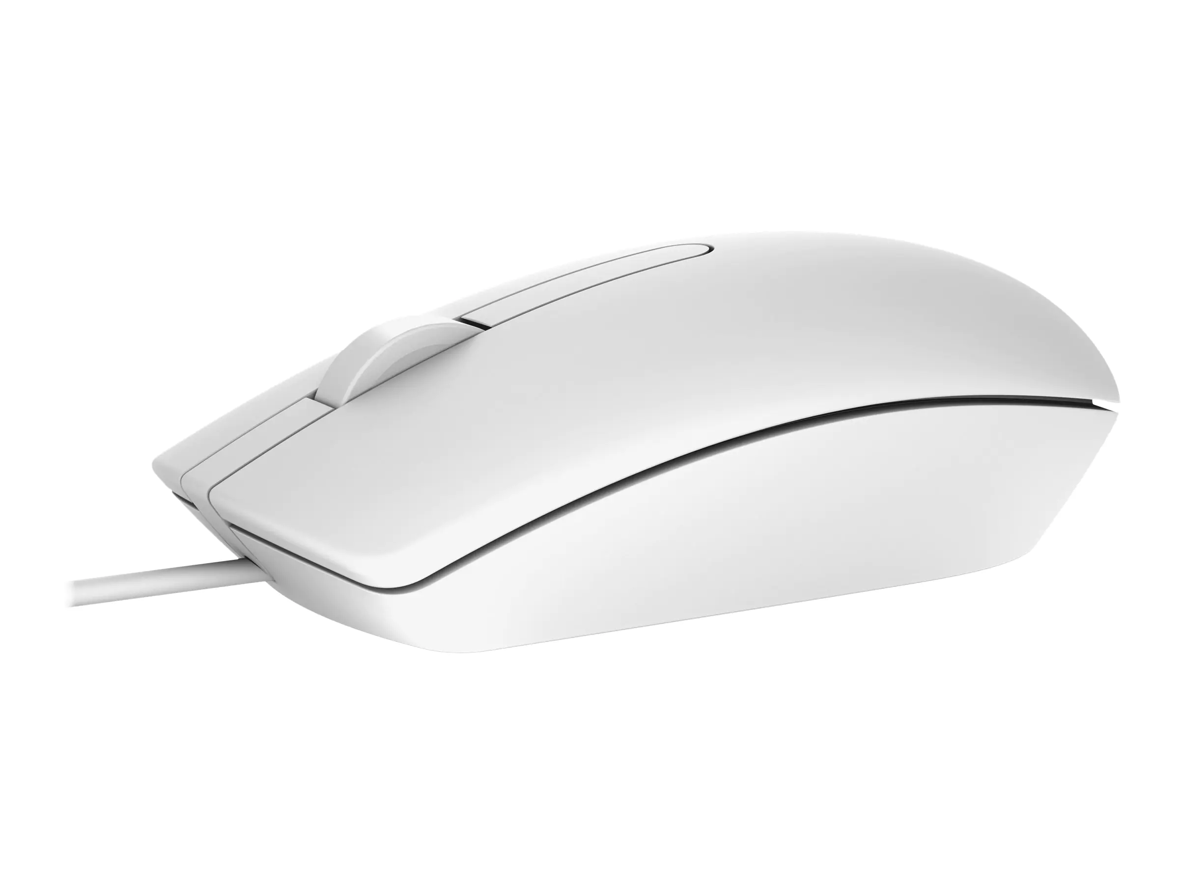 Dell MS116 - Maus - optisch - kabelgebunden 570-AAIP