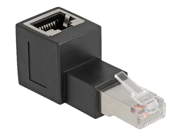 Delock Netzwerkadapter - RJ-45 (W) gewinkelt zu RJ-45 (M) 87861