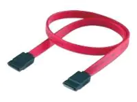 Equip SATA-Kabel - Serial ATA 150/300 - SATA (W) 111800