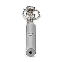 Hama LP-1R - Laserpointer - Mattes Chrom Hama LP-1R - Laserpointer - Mattes Chrom
