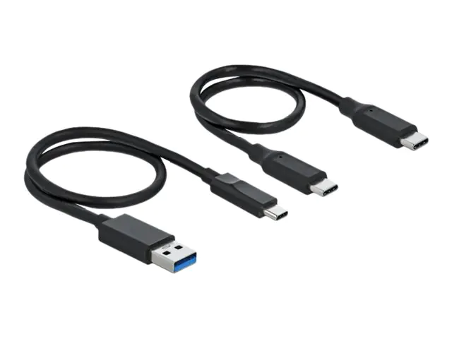 Delock M.2 Docking Station - Schnittstellenadapter - M.2 NVMe Card - USB 3.2 (Gen 2) 64000