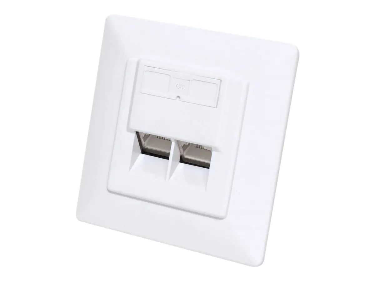 Intellinet - Wandplatte - CAT 6a 10G - mit Beschriftungsfenster - RJ 45 - abgewinkelt - 2 Netzwerksteckdosen - RAL 9003, Signal White