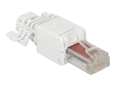 Delock Netzwerkanschluss - RJ-45 (M) - UTP - CAT 6 - (Anzahl pro Packung: 2) 86416