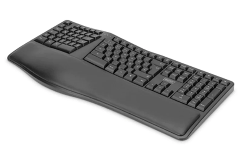 DIGITUS DA-20157 - Tastatur - kabellos - 2.4 GHz - QWERTZ - Deutsch - Schwarz
