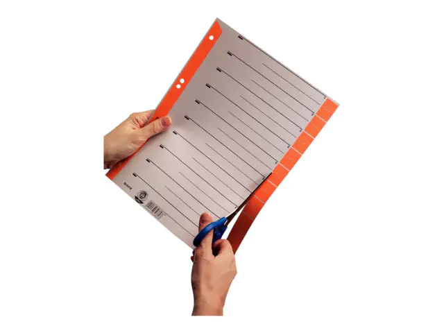 Esselte Leitz Trennelement - 10 Teile - vorgedruckt: 1652-00-25