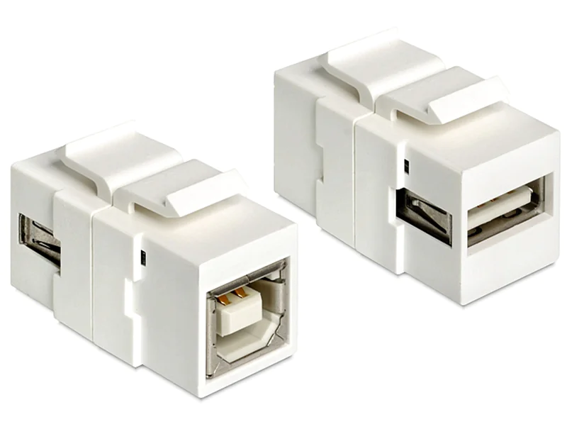 DeLOCK - Modularer Einschub (Kopplung) - USB-Typ B, USB Type A