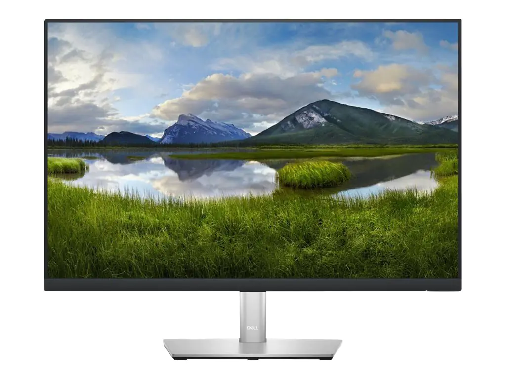 Dell P2423 - LED-Monitor - 61 cm (24") - 1920 DELL-P2423
