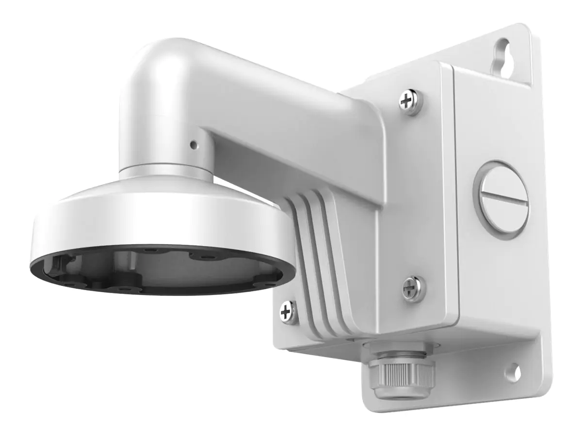 LevelOne CAS-7302 - Befestigungs-Kit für Kamerakuppel