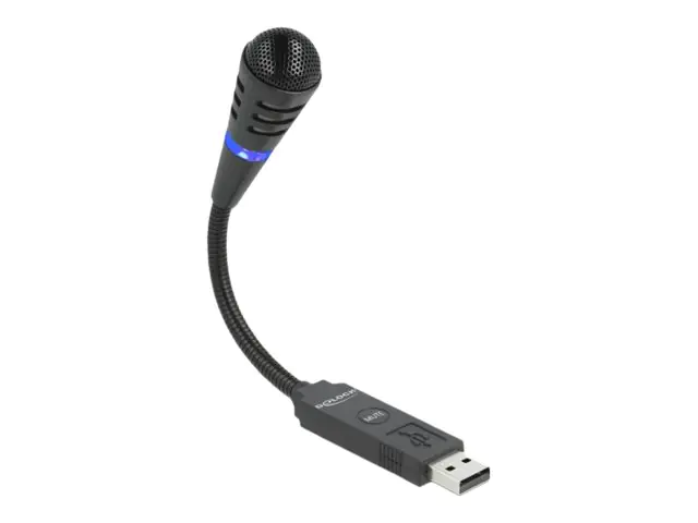 Delock Mikrofon - USB 66499