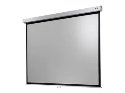 Celexon Manual Professional Plus Data format - Leinwand - Deckenmontage möglich, geeignet für Wandmontage - 350 cm (138") - 4:3 - mattweiß - weiß