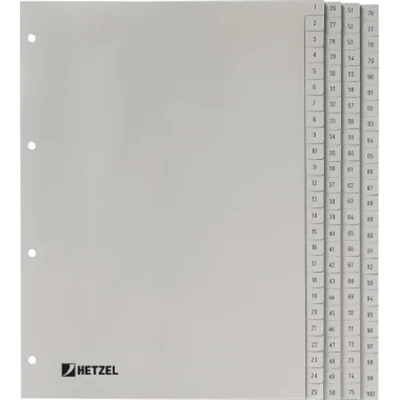 Hetzel Register 721311 DIN A4 1-100 100-teilig PP grau