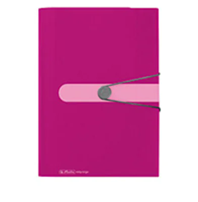 Herlitz Fächermappe easy orga to go 11217114 A4 12Fächer PP beere