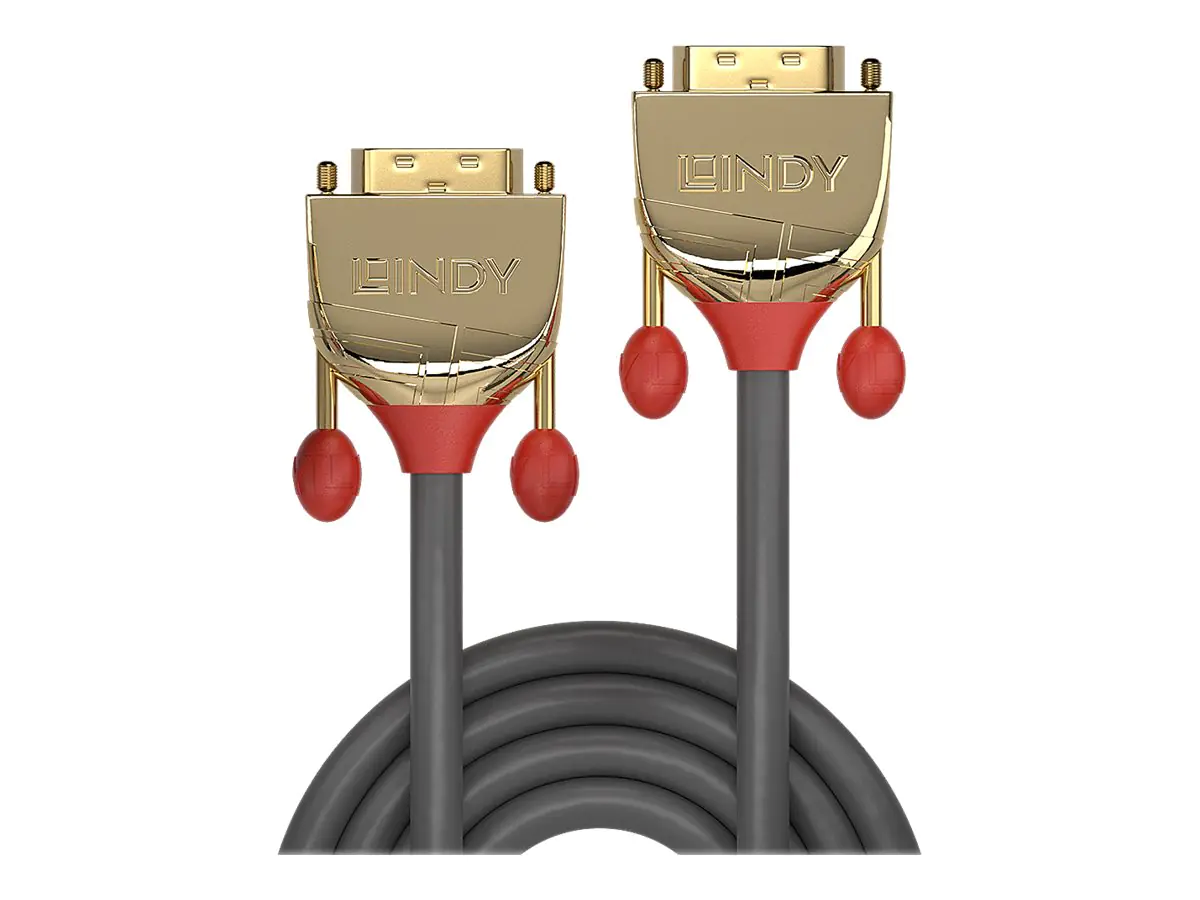 Lindy Gold - DVI-Kabel - Dual Link - DVI-D (M)