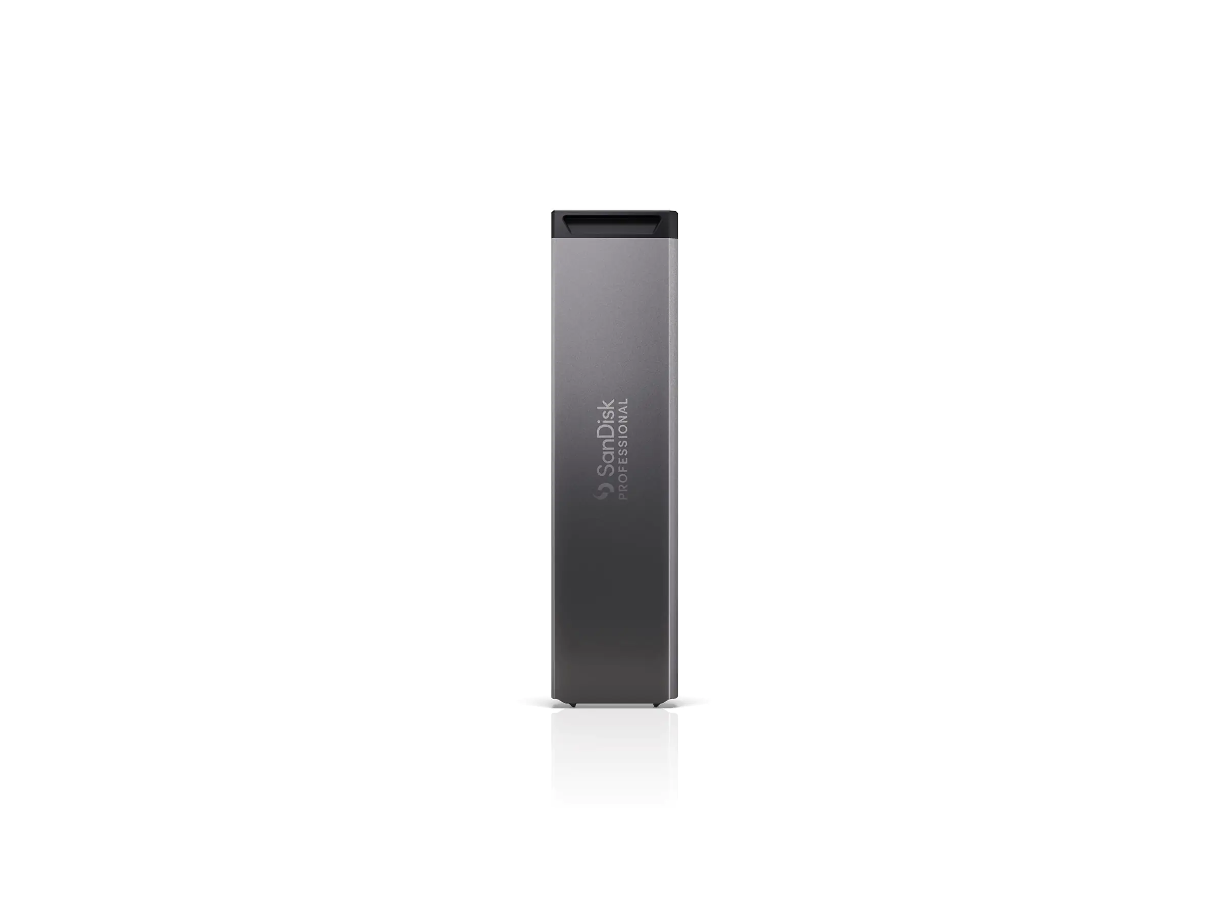 SanDisk Professional PRO-BLADE SSD Mag - SSD - 2 TB - extern (tragbar) SDPM1NS-002T-GBAND