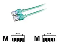 Dätwyler Patch-Kabel - RJ-45 (M) zu RJ-45 (M) 21.05.8023