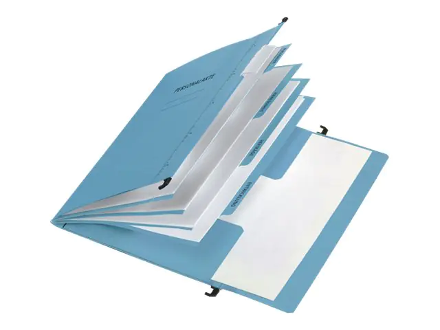 Pagna Hängeregister - 4 Fächer - mit Register 44105-02