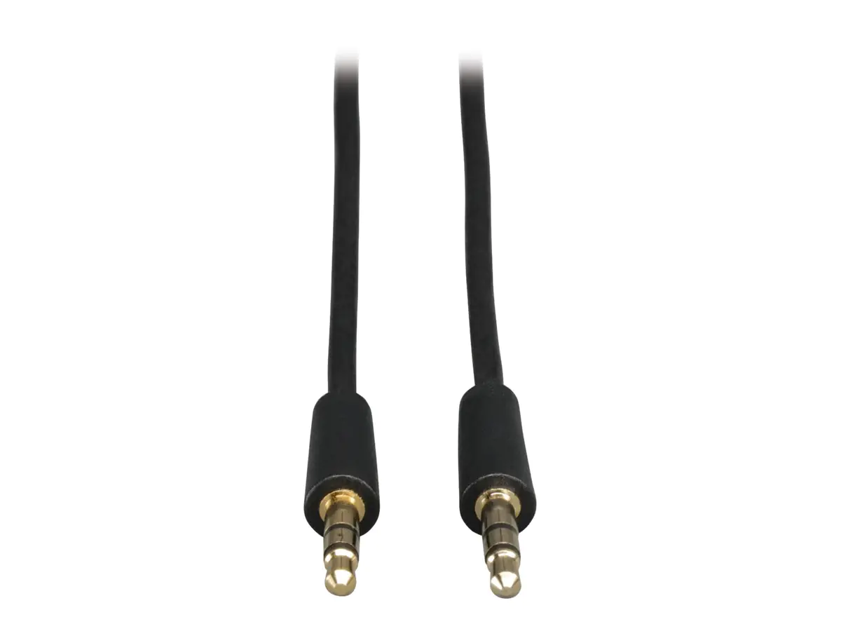 Tripp Eaton Tripp Lite Series 3.5mm Mini Stereo Audio Cable for Microphones, Speakers and Headphones (M/M) P312-006