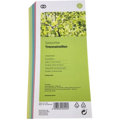 Soennecken Trennstreifen oeco 1417 10,5x24cm sortiert 100St.