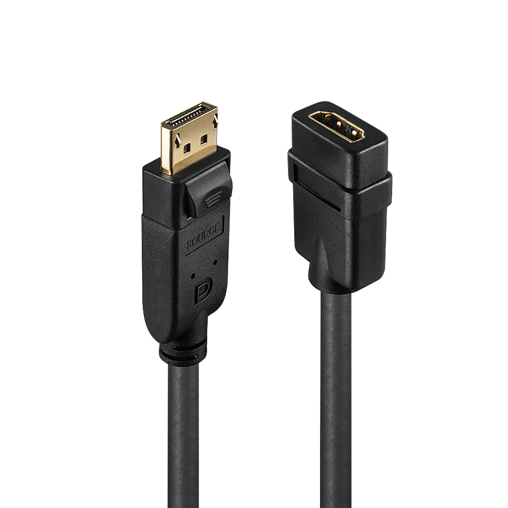 Lindy Videoadapter - DisplayPort männlich zu 41005