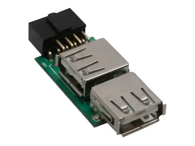 InLine - Interner und externer USB-Adapter - USB (W) zu 9-poliger USB-Header (W)