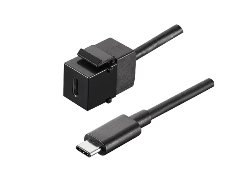 Bachmann USB 3.1 Type C Keystone Module - Modulare Eingabe - USB Typ C - Schwarz Bachmann USB 3.1 Type C Keystone Module - Modulare Eingabe - USB Typ C - Schwarz