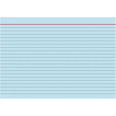 BRUNNEN Karteikarte 102250130 DIN A5 liniert bl 100 St./Pack.
