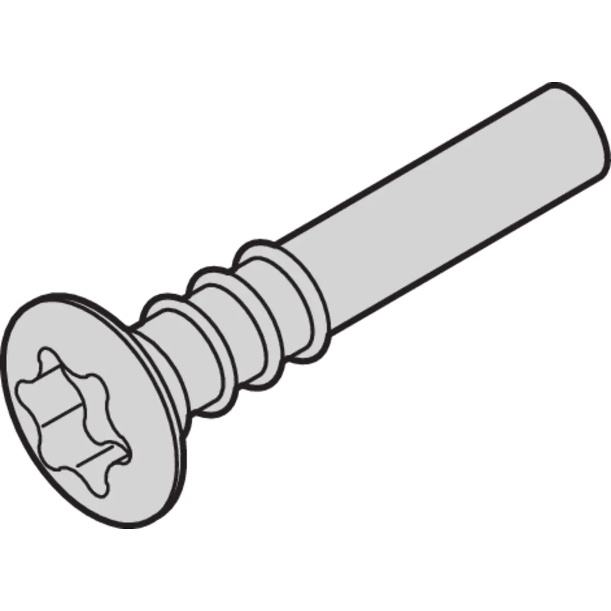 SCHROFF Torx-Linsenkopfschraube - NTS LISESHR TORX3.0X20 100ST (24812501)