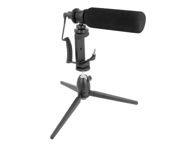 Delock Mikrofon - Schwarz 66582