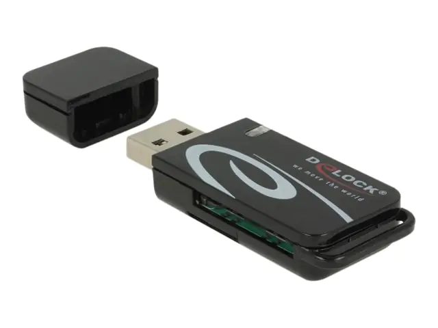Delock Kartenleser (Multi-Format) - USB 2.0 91602