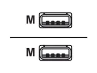 Lenovo - USB-Kabel - USB (M) zu USB (M) - USB 2.0 - 15 m - Schwarz - für ThinkCentre M75t Gen 2 11W5