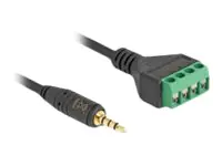 Delock Audio-Adapter - Mini-Stecker männlich 66268