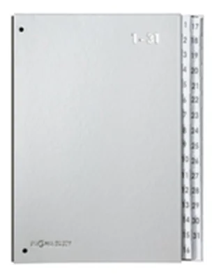 PAGNA Pultordner 24329-14 DIN A4 1-31 32Fächer Polyprpylen si