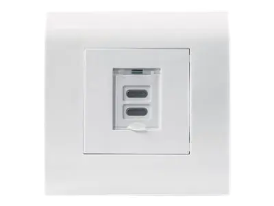 Intellinet Unterputzdose mit zwei USB Typ C-Ladeports, Zwei USB Typ C-Ports mit Staubschutzklappe und 5 V / 2,1 A Ausgangsleistung, Frontblende im europäischen Format 80 x 80 mm - Ausgang - oberflächenbündig montierbar - USB Typ C x 2 - mit Safety Cover