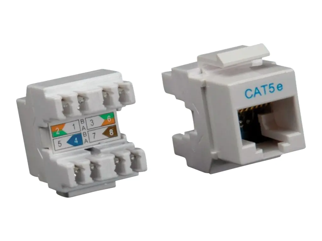 Roline - Modulare Eingabe - CAT 5e - UTP - Hellgrau - 1 Anschluss