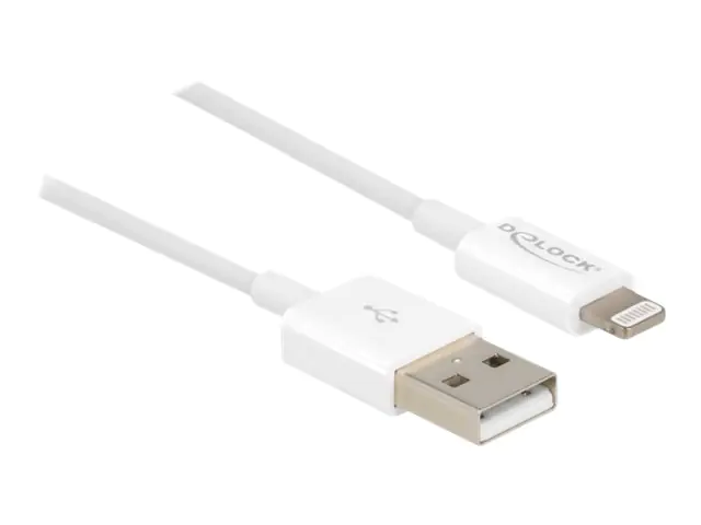 Delock Lightning-Kabel - Lightning männlich zu USB männlich 83000