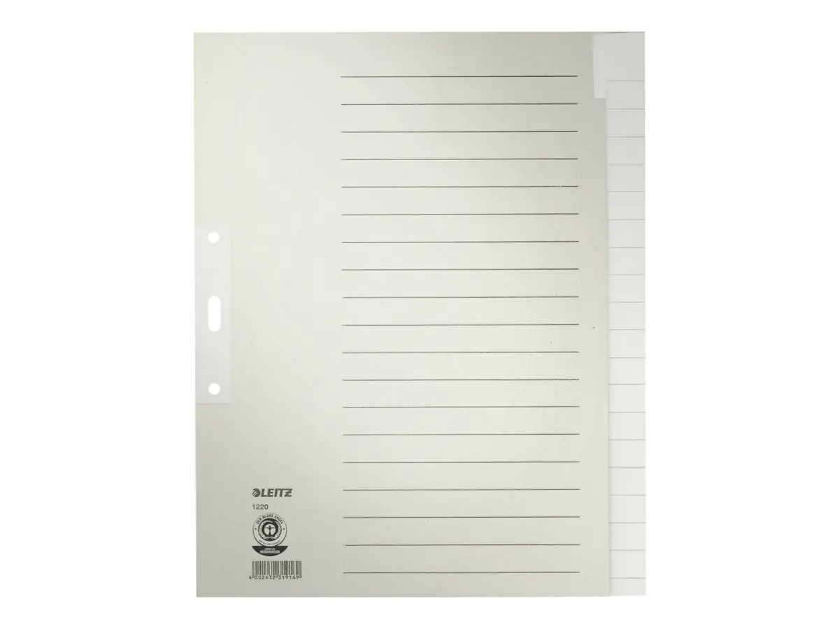 Leitz Register 12200085 blanko DIN A4 20teilig Papier grau