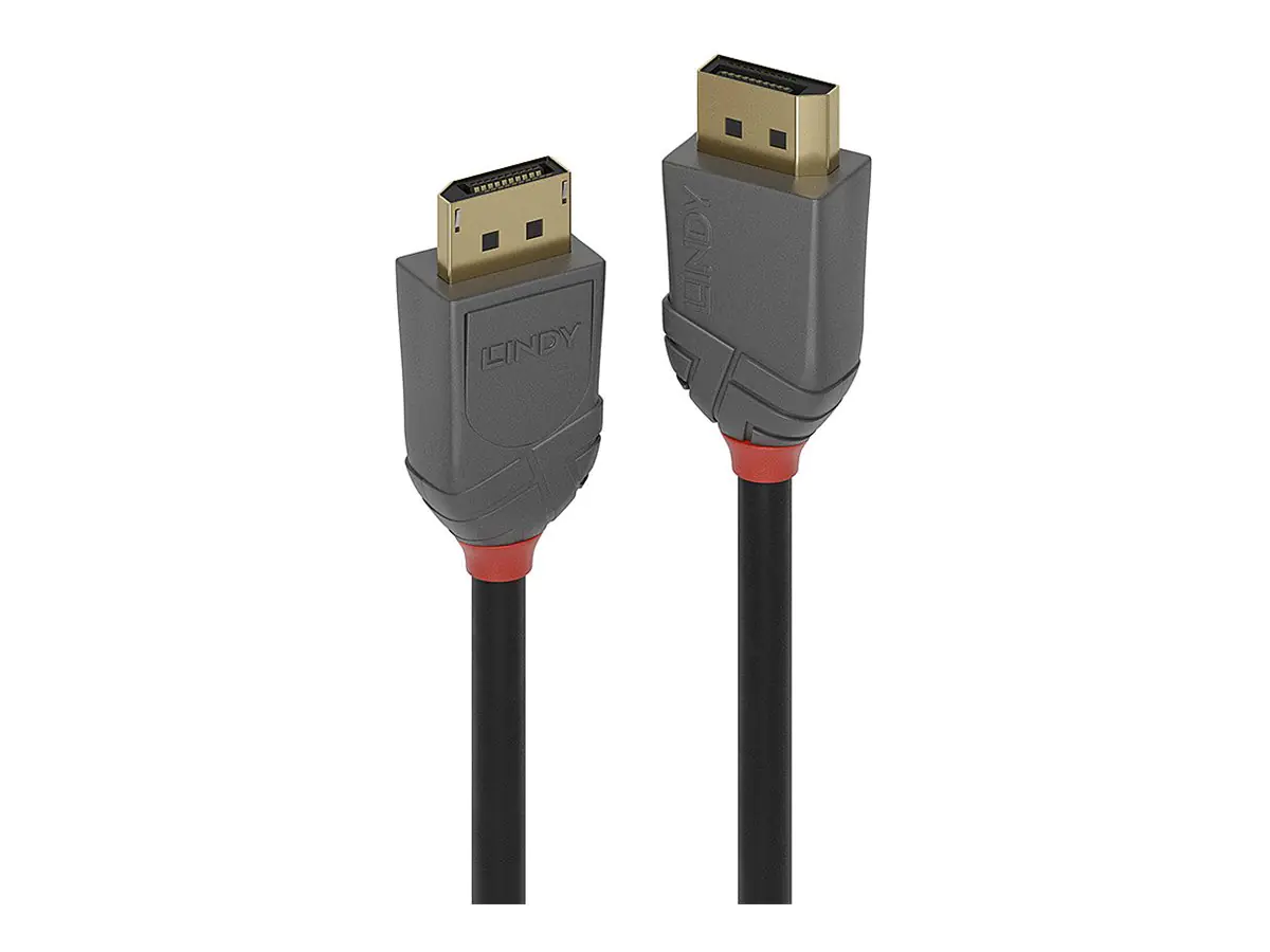 Lindy Anthra Line - DisplayPort-Kabel - DisplayPort (M) 36484